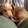 evelyngirl1